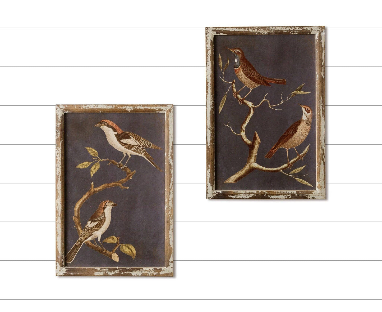 Framed Prints - Birds On Branches 2 PC