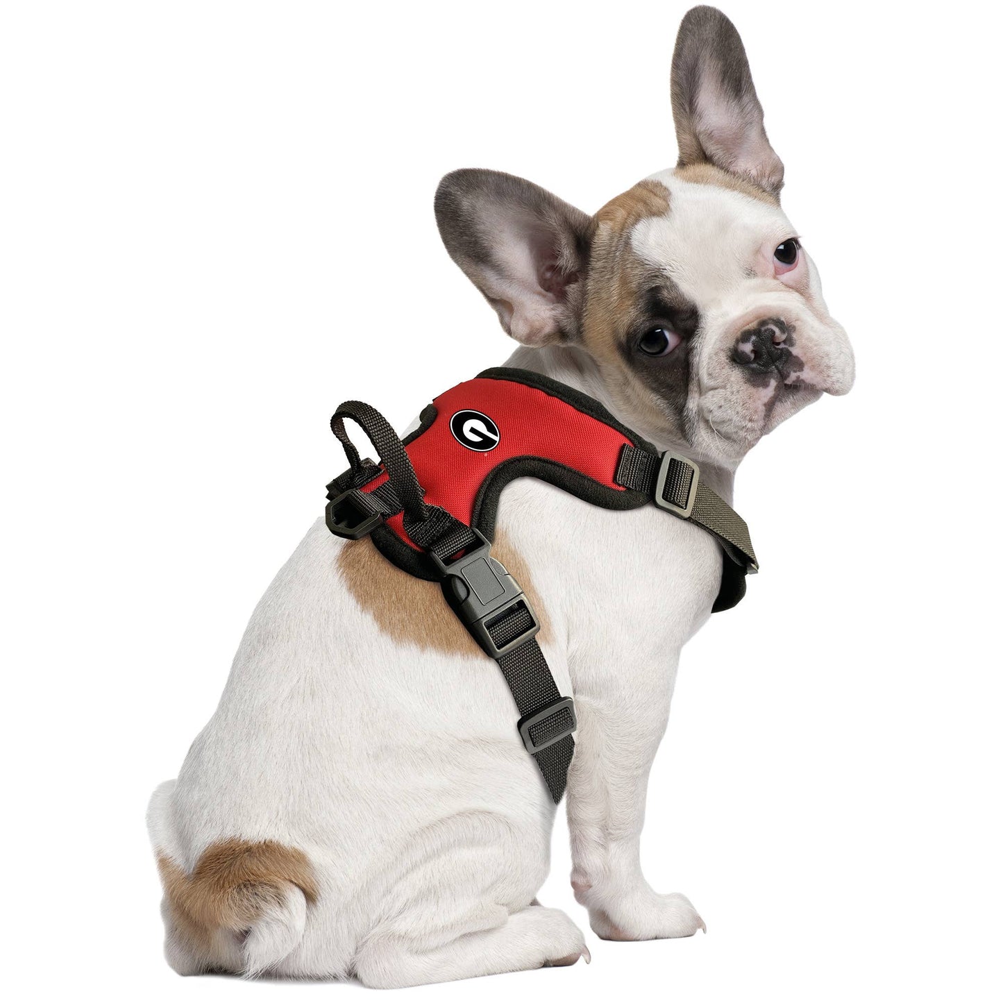 NCAA Georgia Bulldogs Front Clip Pet Harness