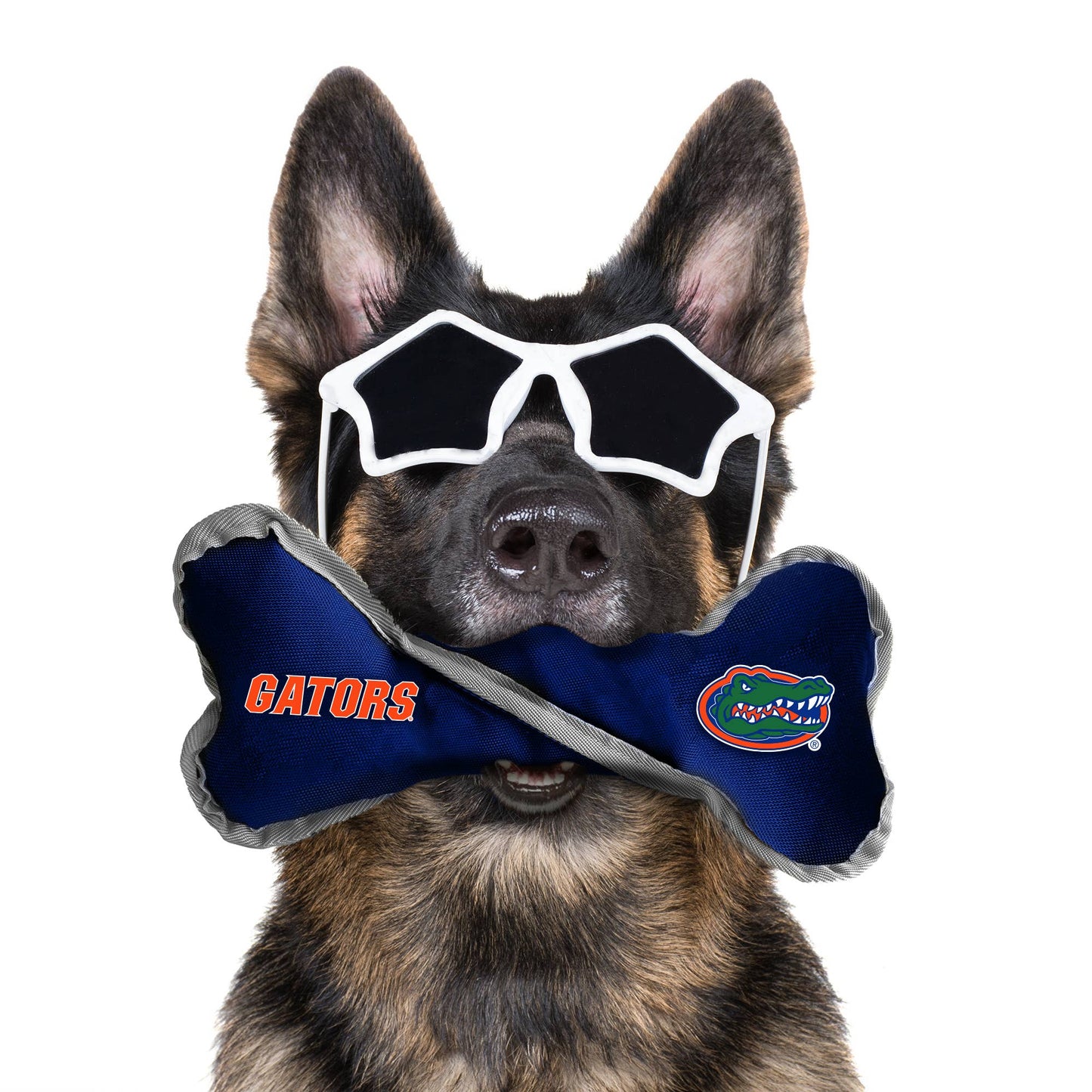 NCAA Florida Gators Pet Tug Bone