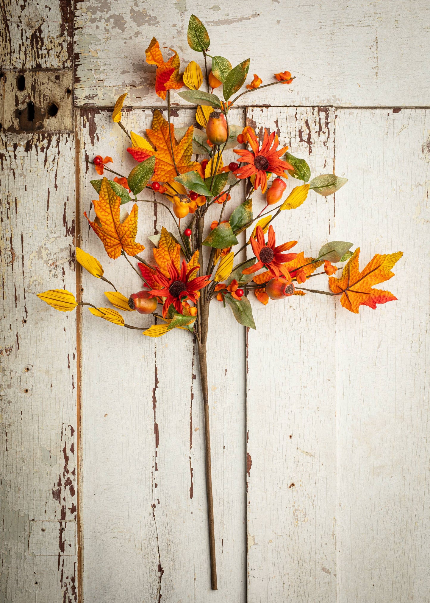 Fall Daisy Spray With Bittersweet & Pods, 28 In